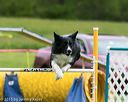 20150516-neat-0570