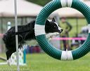 20150516-neat-0640