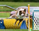 20150516-neat-0657