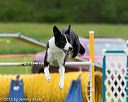 20150516-neat-0507