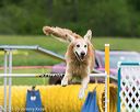 20150516-neat-0537