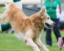 20150516-neat-0539