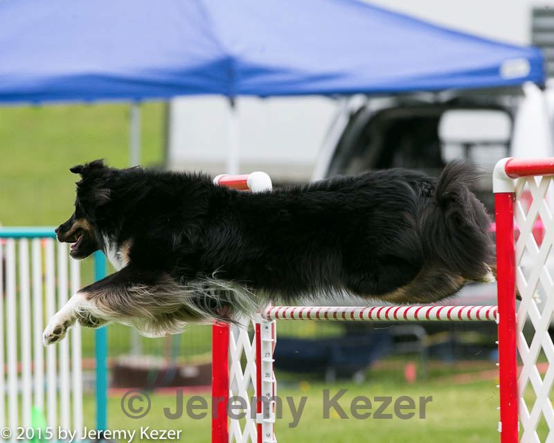 20150516-neat-0527.jpg
