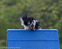 20150516-neat-0026