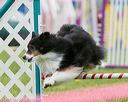20150516-neat-0031