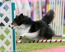 20150516-neat-0032