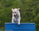 20150516-neat-0048
