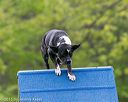 20150516-neat-0056
