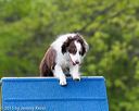 20150516-neat-0060