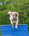 20150516-neat-0083