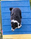 20150516-neat-0094