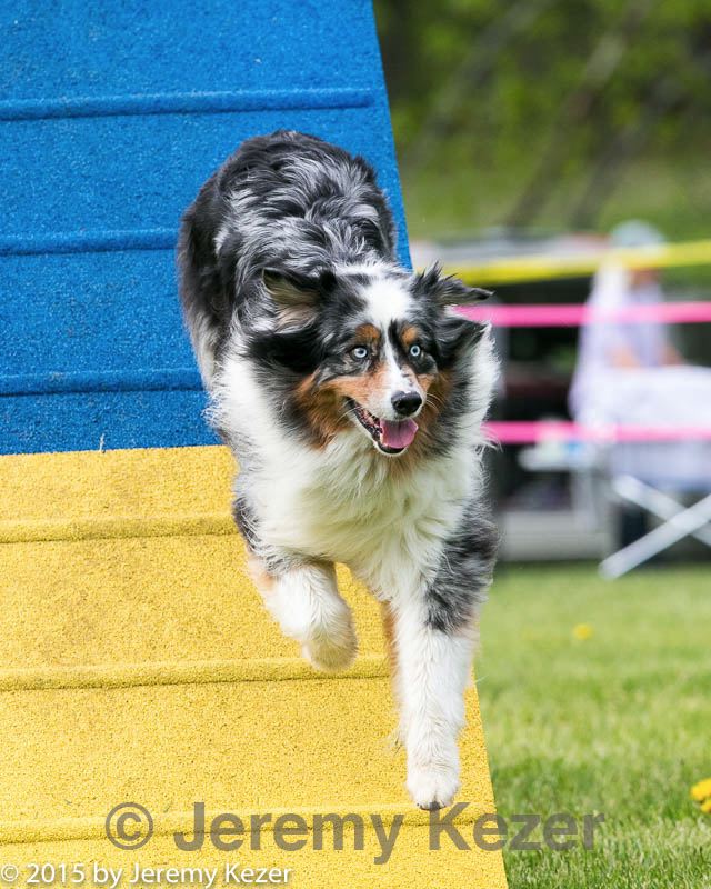 20150516-neat-0078.jpg