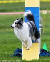 20150516-neat-0853