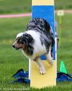 20150516-neat-0867