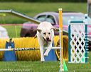 20150516-neat-0455