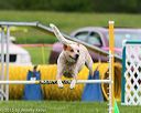 20150516-neat-0461