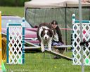 20150516-neat-0471