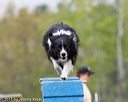 20150516-neat-0388