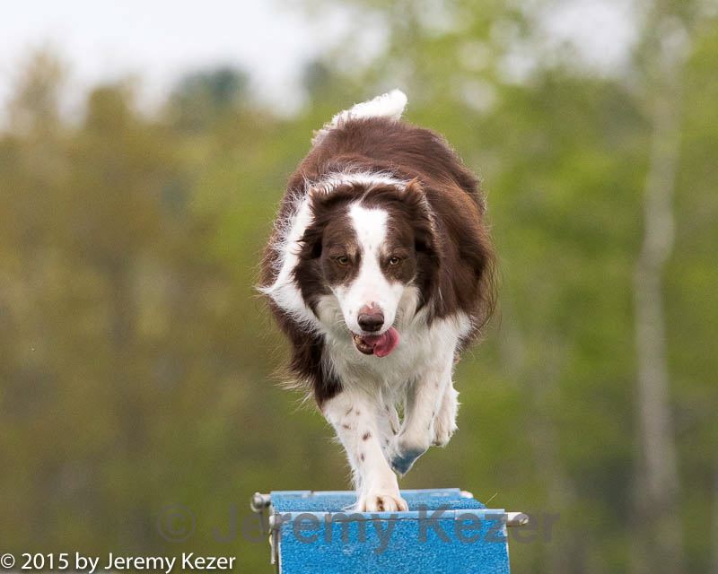20150516-neat-0287.jpg