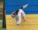 20150516-neat-0007