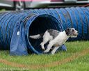 20150516-neat-0008