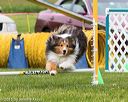 20150516-neat-0410