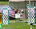 20150516-neat-0412