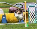 20150516-neat-0413