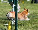 20150517-neat-1114