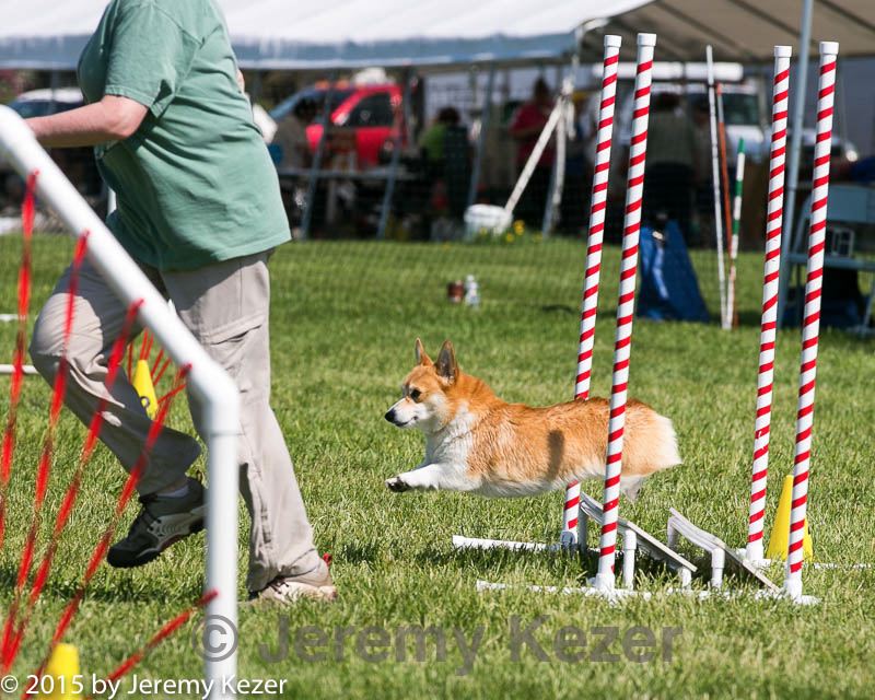 20150517-neat-1108.jpg
