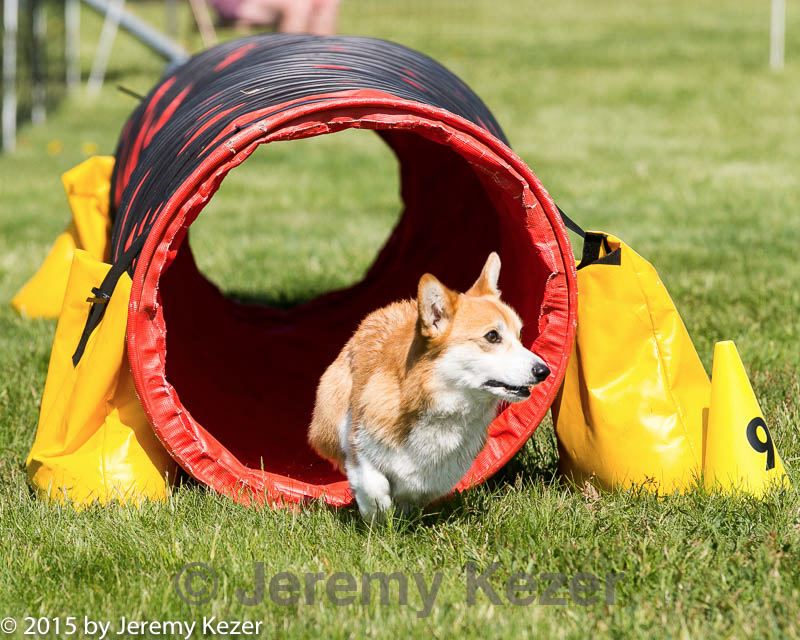 20150517-neat-1113.jpg