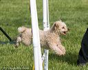 20150517-neat-0094