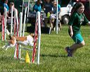 20150517-neat-1072