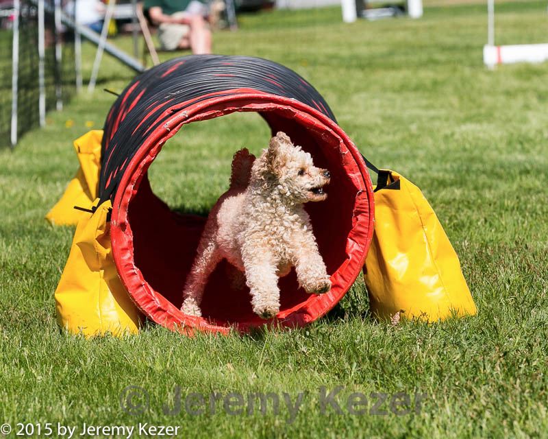 20150517-neat-1039.jpg