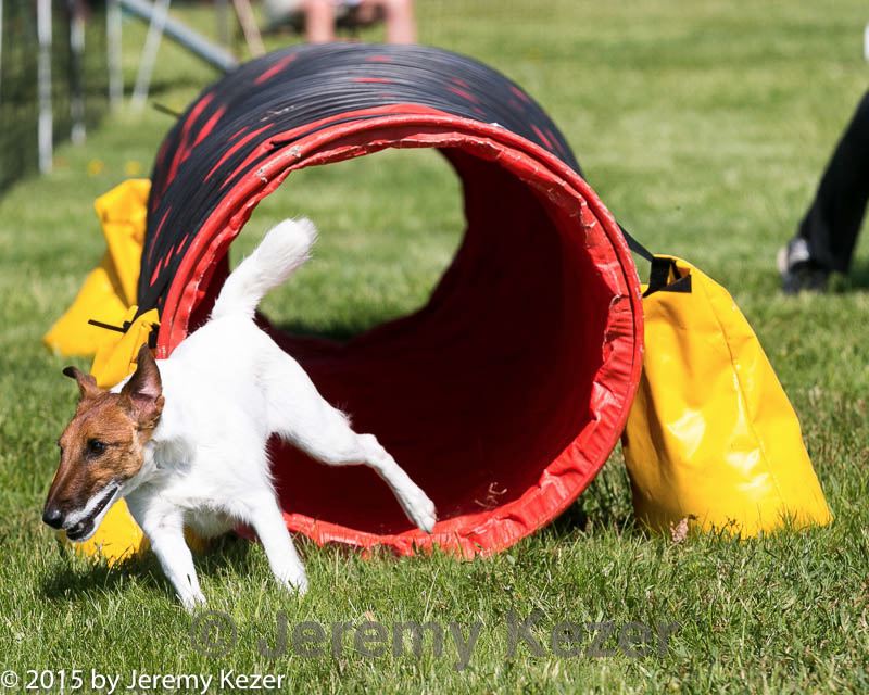 20150517-neat-1058.jpg