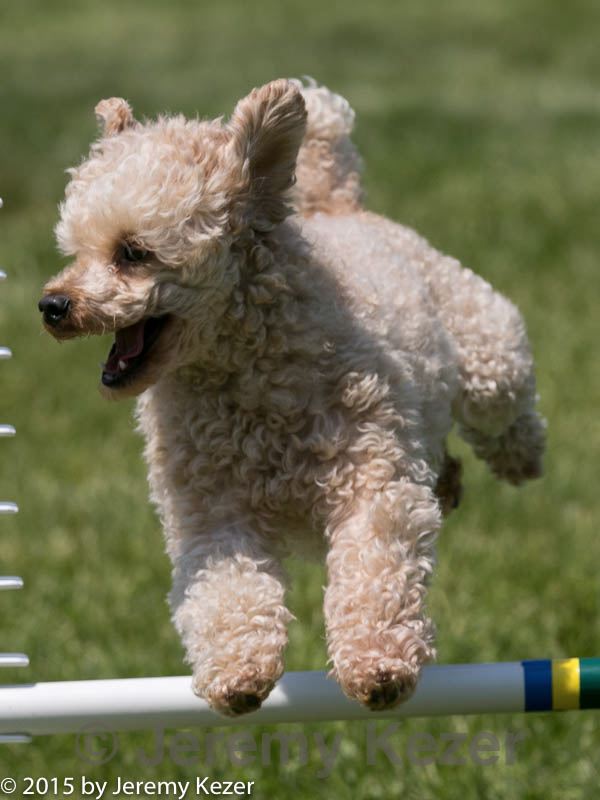20150517-neat-0384.jpg