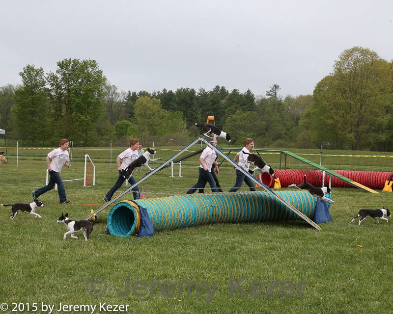 20150517-neatmc-0004.jpg