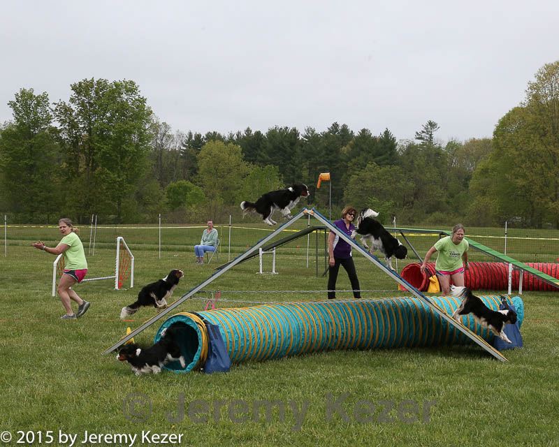 20150517-neatmc-0006.jpg