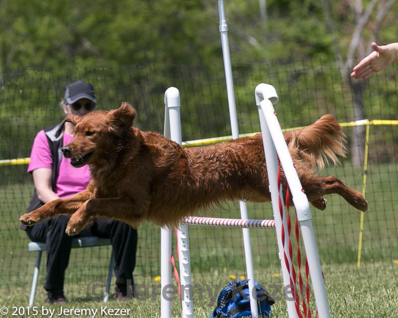 20150517-neat-0251.jpg