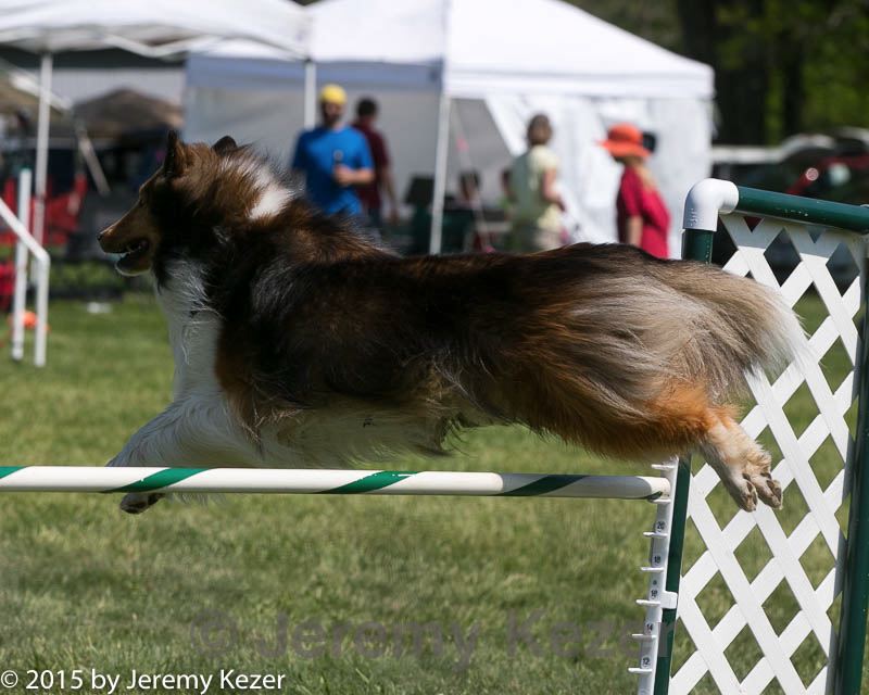 20150517-neat-0953.jpg