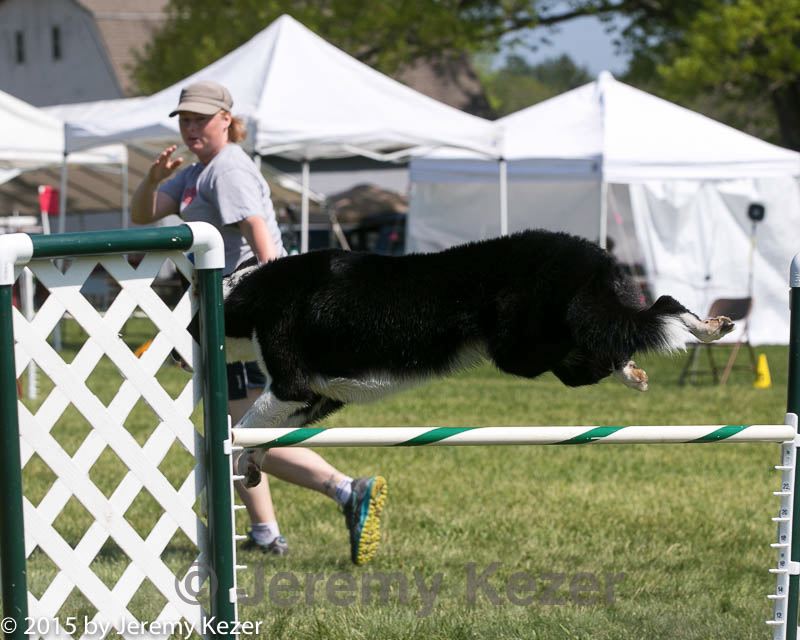 20150517-neat-0942.jpg