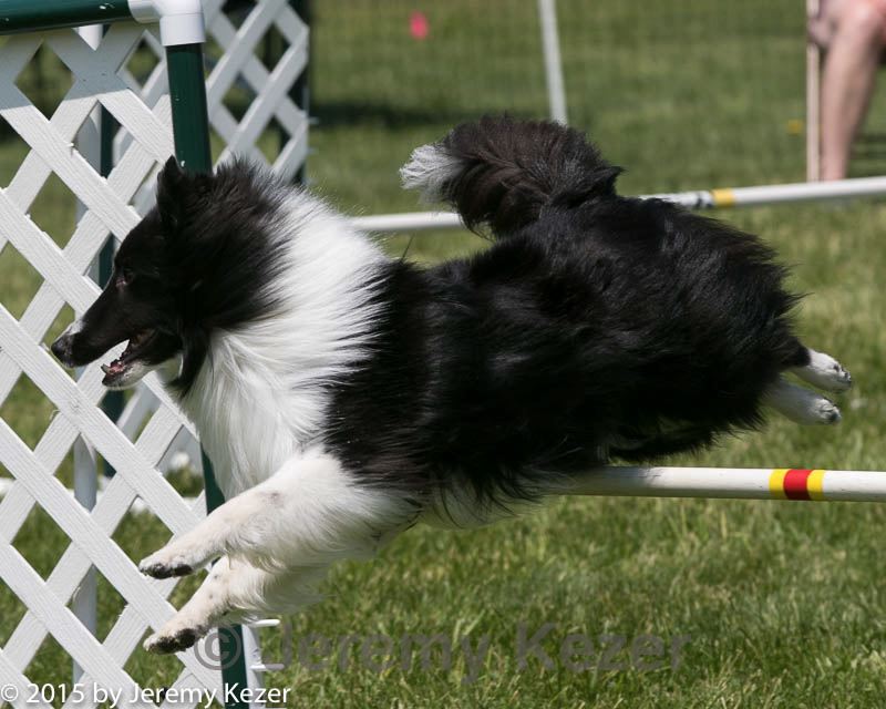20150517-neat-0291.jpg