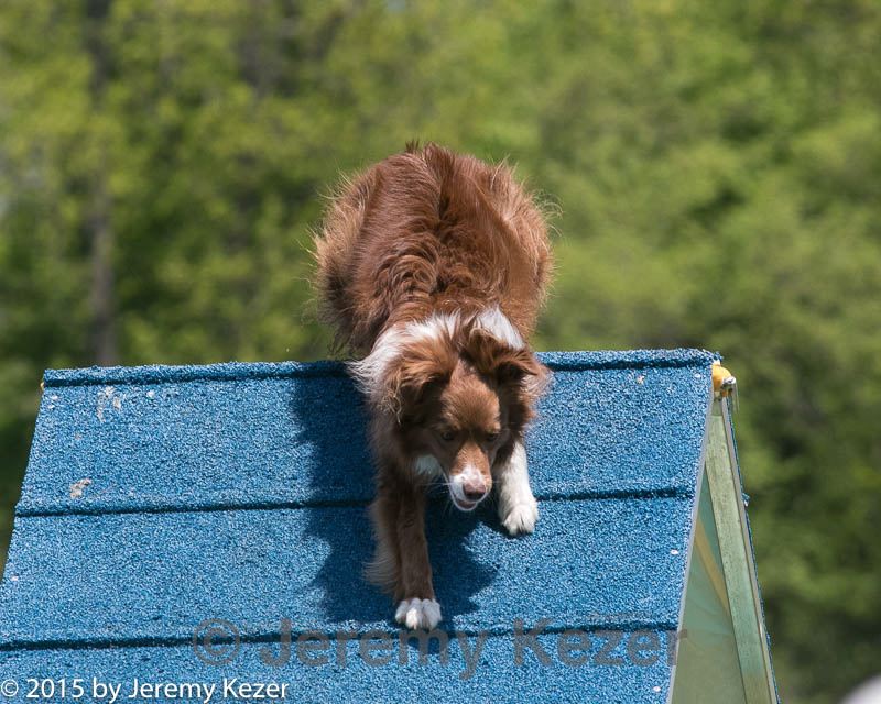 20150517-neat-0172.jpg