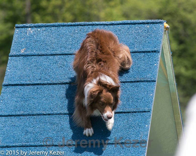 20150517-neat-0173.jpg