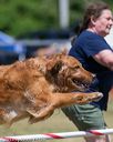 20150613-cckc-0327