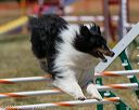20150613-cckc-0408