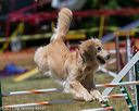 20150613-cckc-0429