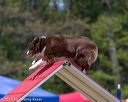 20150613-cckc-0444