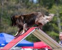 20150613-cckc-0488
