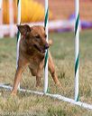 20150614-cckc-0066